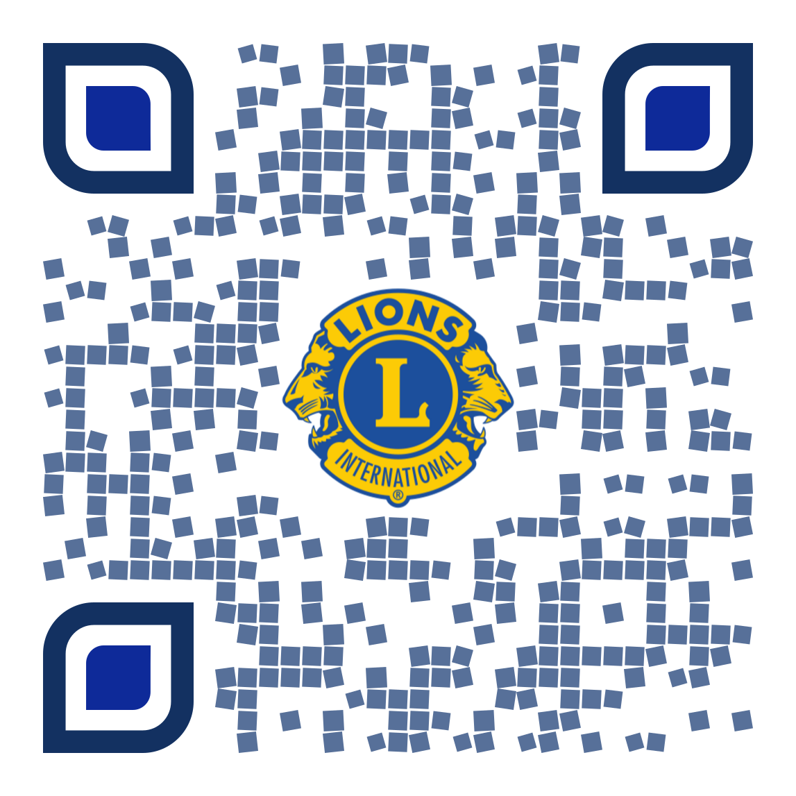 lions QR code