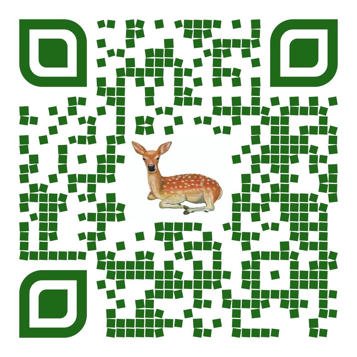 shikavalley QR code